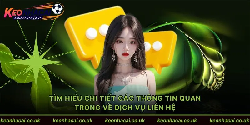 Tìm hiểu chi tiết các thông tin quan trọng về dịch vụ liên hệ